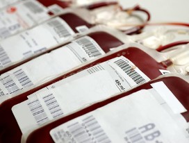 Bags of Blood - Medical Delivery